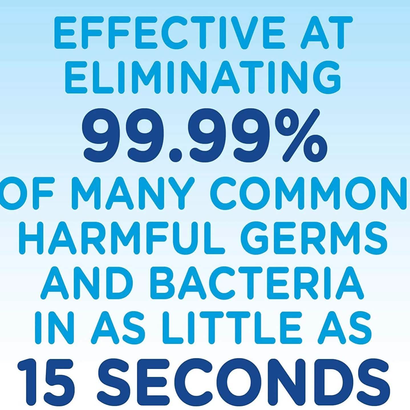 2-Pack: Germ-X Fresh Citrus Hand Sanitizer DailySale
