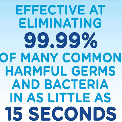 2-Pack: Germ-X Fresh Citrus Hand Sanitizer DailySale