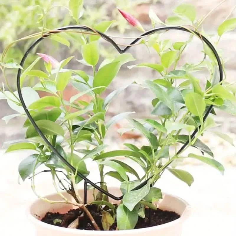 2-Pack: Heart-Shaped Plant Support Stake DailySale