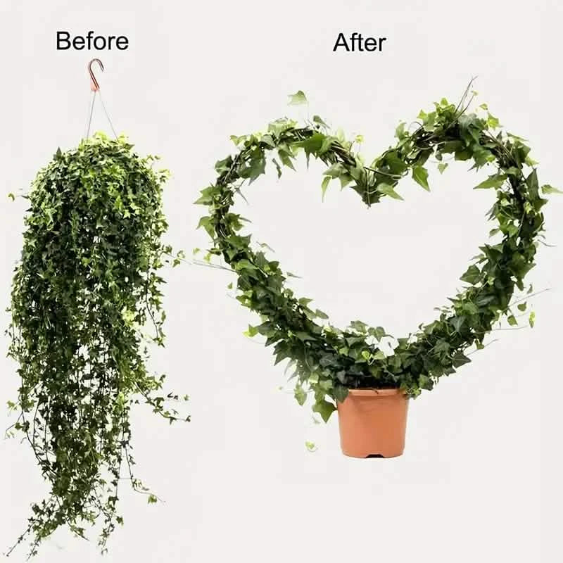 2-Pack: Heart-Shaped Plant Support Stake DailySale