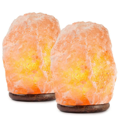 2-Pack: Hemingweigh Hand Carved Natural Crystal Himalayan Salt Lamp DailySale