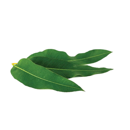 2-Pack: L'Oréal Paris Skincare Pure-Clay Face Mask with Eucalyptus for Oily and Shiny Skin to Purify and Matify DailySale