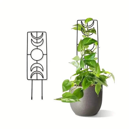 2-Pack: Metal Plant Trellis for Climbing Plants Indoor DailySale