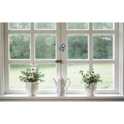 2-Pack: Mighty Mini Alarm for Doors & Windows DailySale