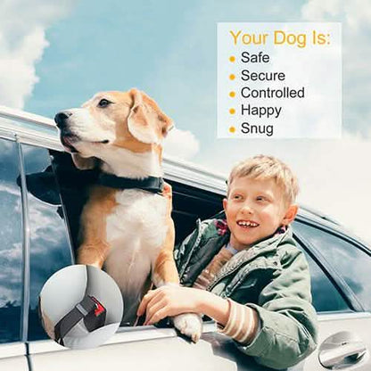 2-Pack: Multipurpose Pet Safety DailySale