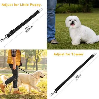 2-Pack: Multipurpose Pet Safety DailySale