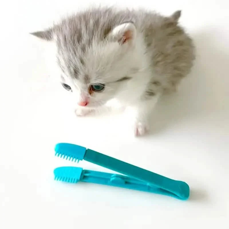 2-Pack: Pet Eye Comb Brush Pet Tear Stain Remover Comb Cleaning Grooming Tools DailySale