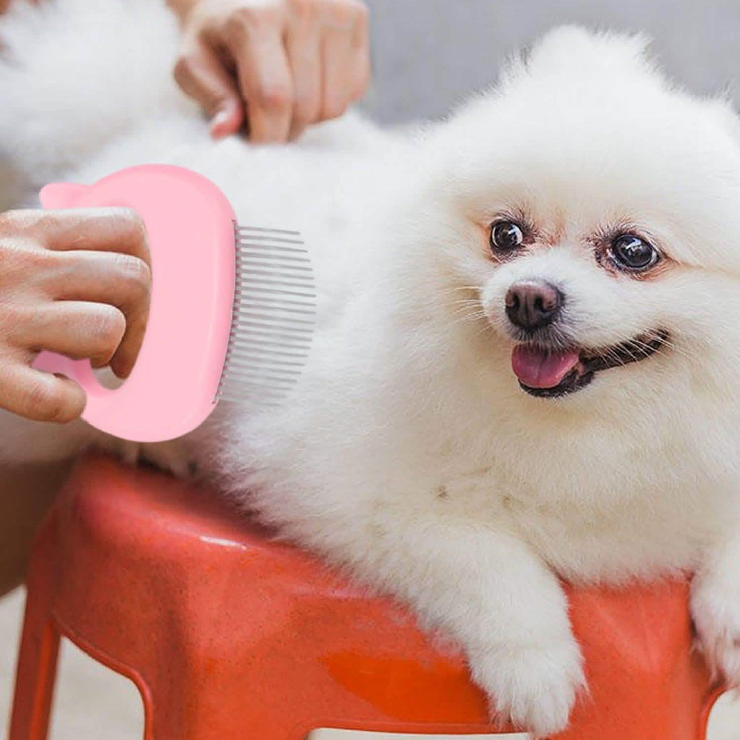 2-Pack: Pet Hair Removal And Massaging Shell Comb Brush For Grooming And Shedding DailySale