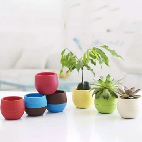2-Pack: Plastic Plant Flower Pots DailySale