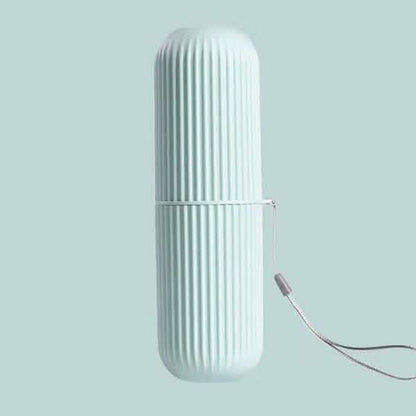 2-Pack: Portable Dental Storage Box DailySale