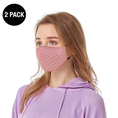 2-Pack: Reusable Ear Loop Face Mask DailySale