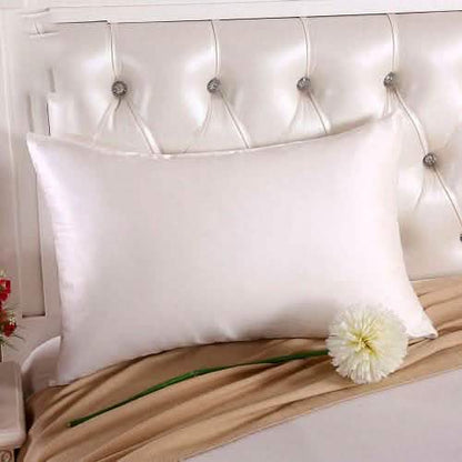 2-Pack: Silk Pillowcases DailySale