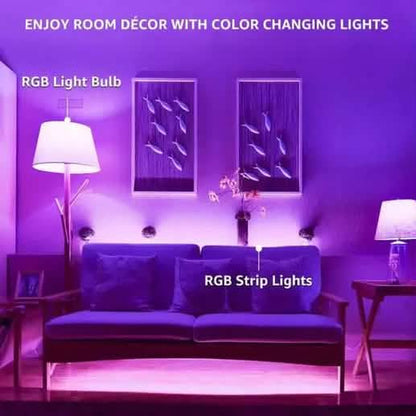 2-Pack: Smart Home Multi-Color LED A19 Bulb 5W DailySale