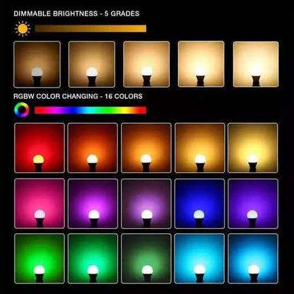 2-Pack: Smart Home Multi-Color LED A19 Bulb 5W DailySale