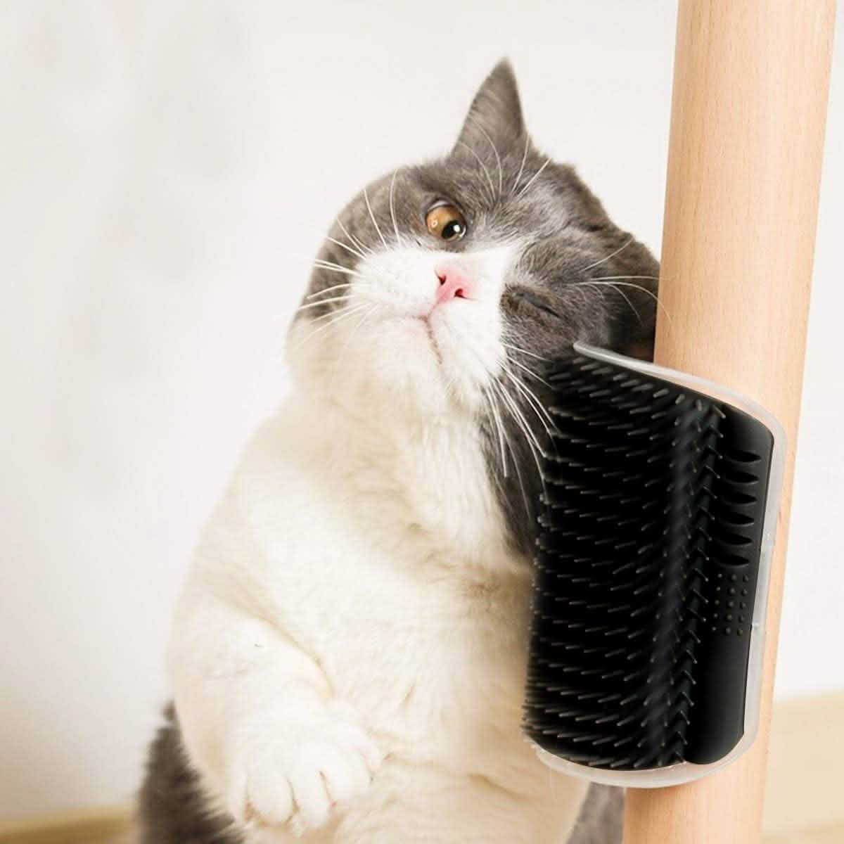 2-Pack: Soft Cat Corner Self Groomer Brush DailySale