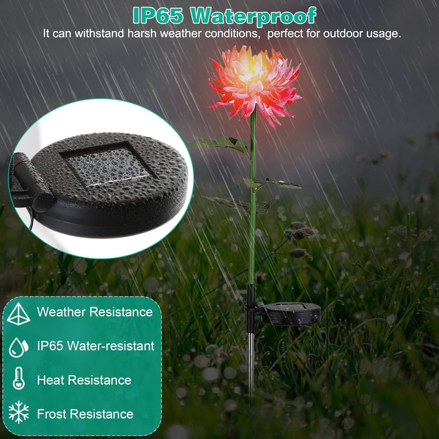 2-Pack: Solar LED Chrysanthemum Lights DailySale