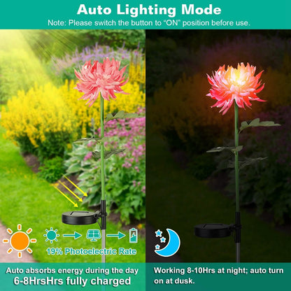 2-Pack: Solar LED Chrysanthemum Lights DailySale