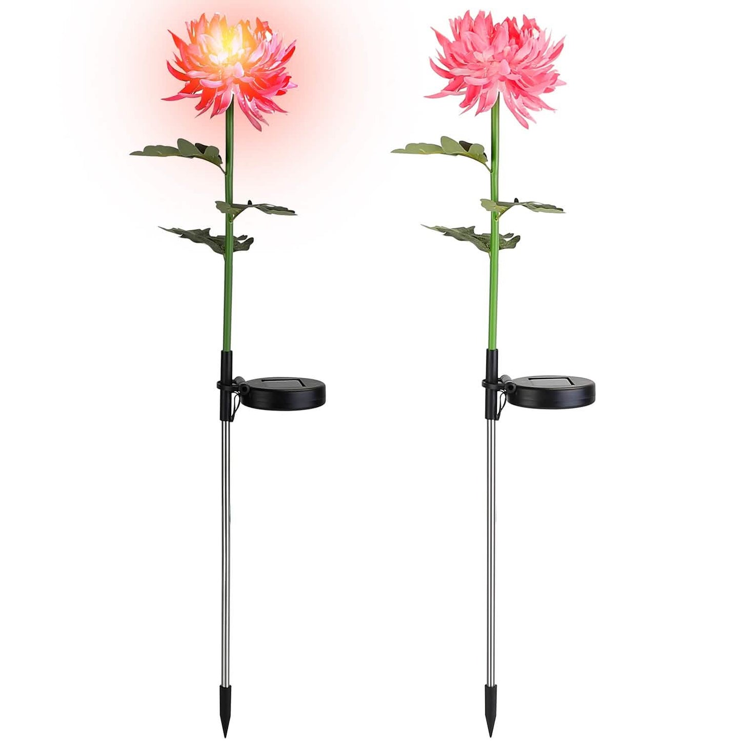 2-Pack: Solar LED Chrysanthemum Lights DailySale