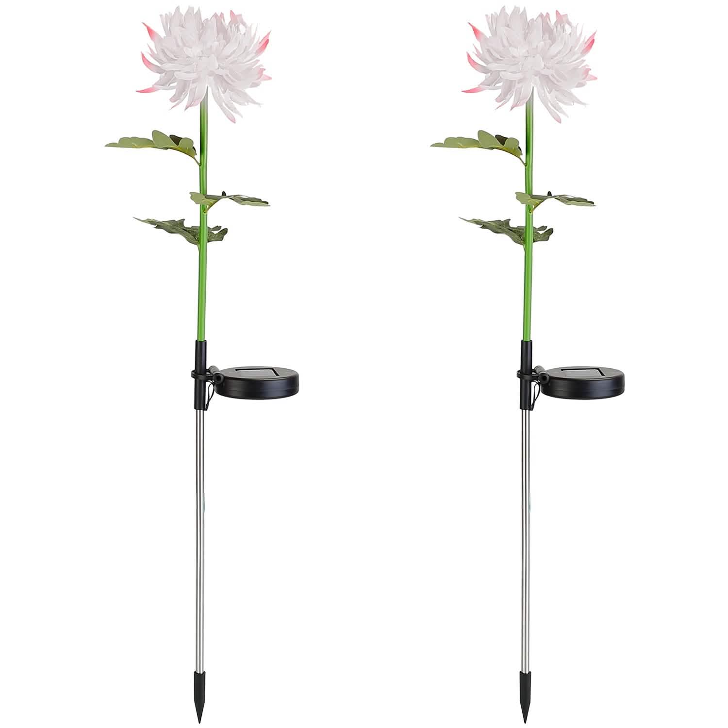 2-Pack: Solar LED Chrysanthemum Lights DailySale