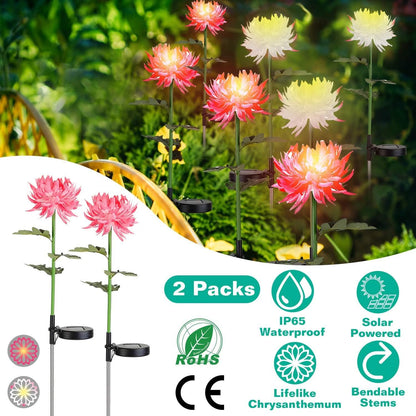 2-Pack: Solar LED Chrysanthemum Lights DailySale