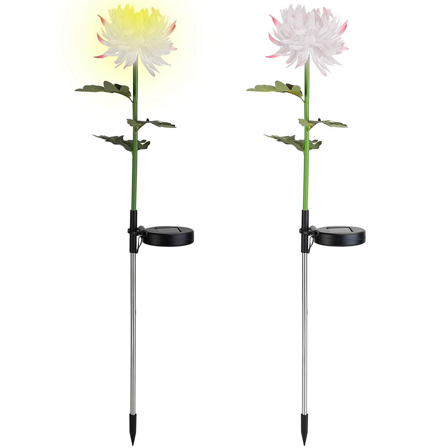 2-Pack: Solar LED Chrysanthemum Lights DailySale