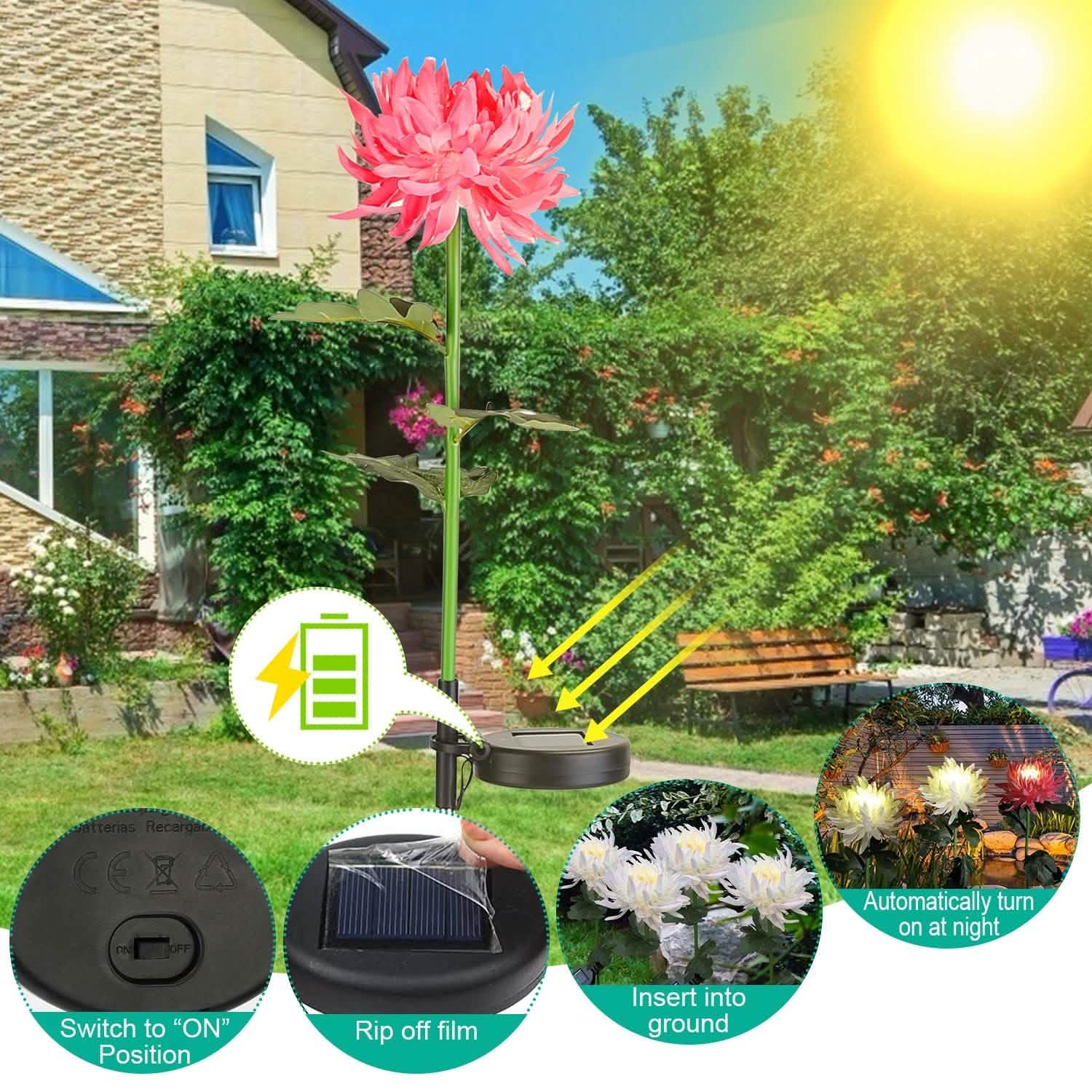 2-Pack: Solar LED Chrysanthemum Lights DailySale