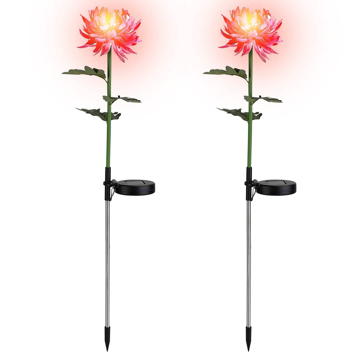 2-Pack: Solar LED Chrysanthemum Lights DailySale