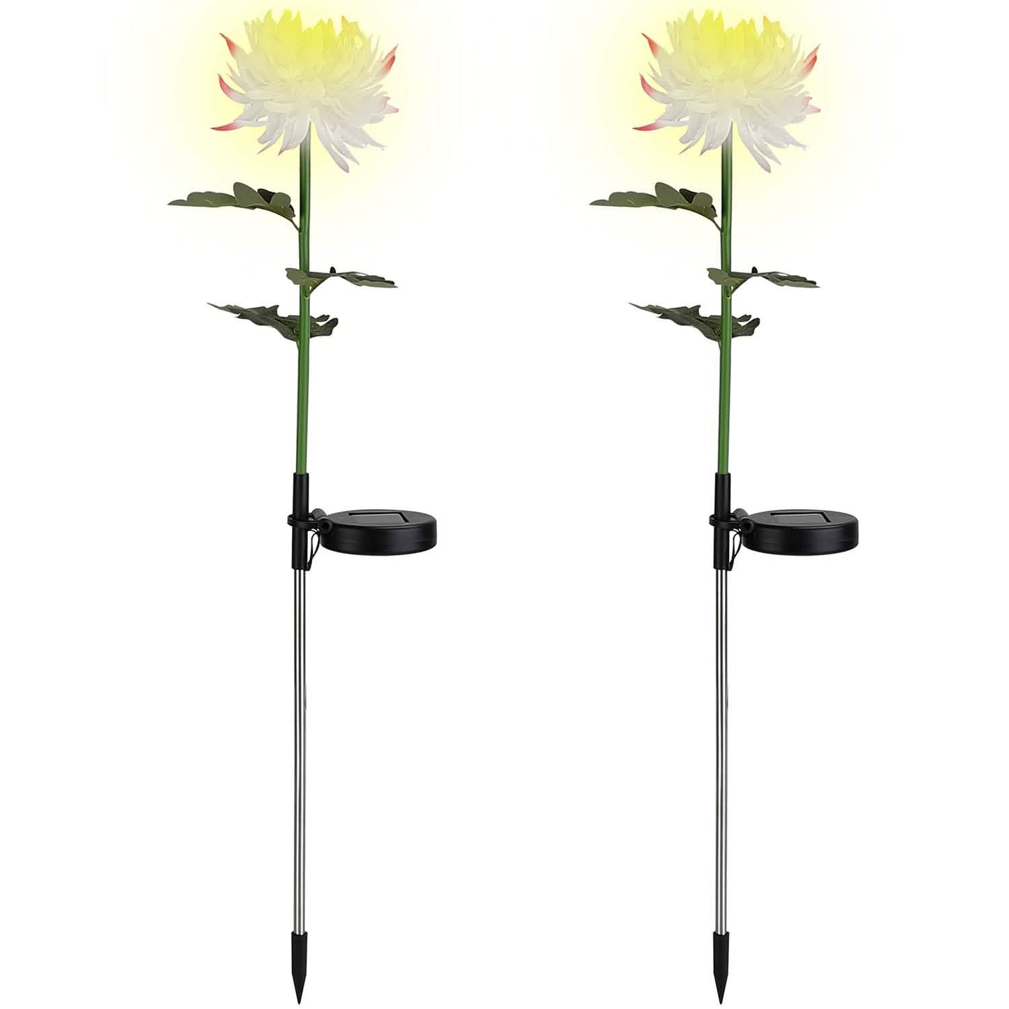 2-Pack: Solar LED Chrysanthemum Lights DailySale