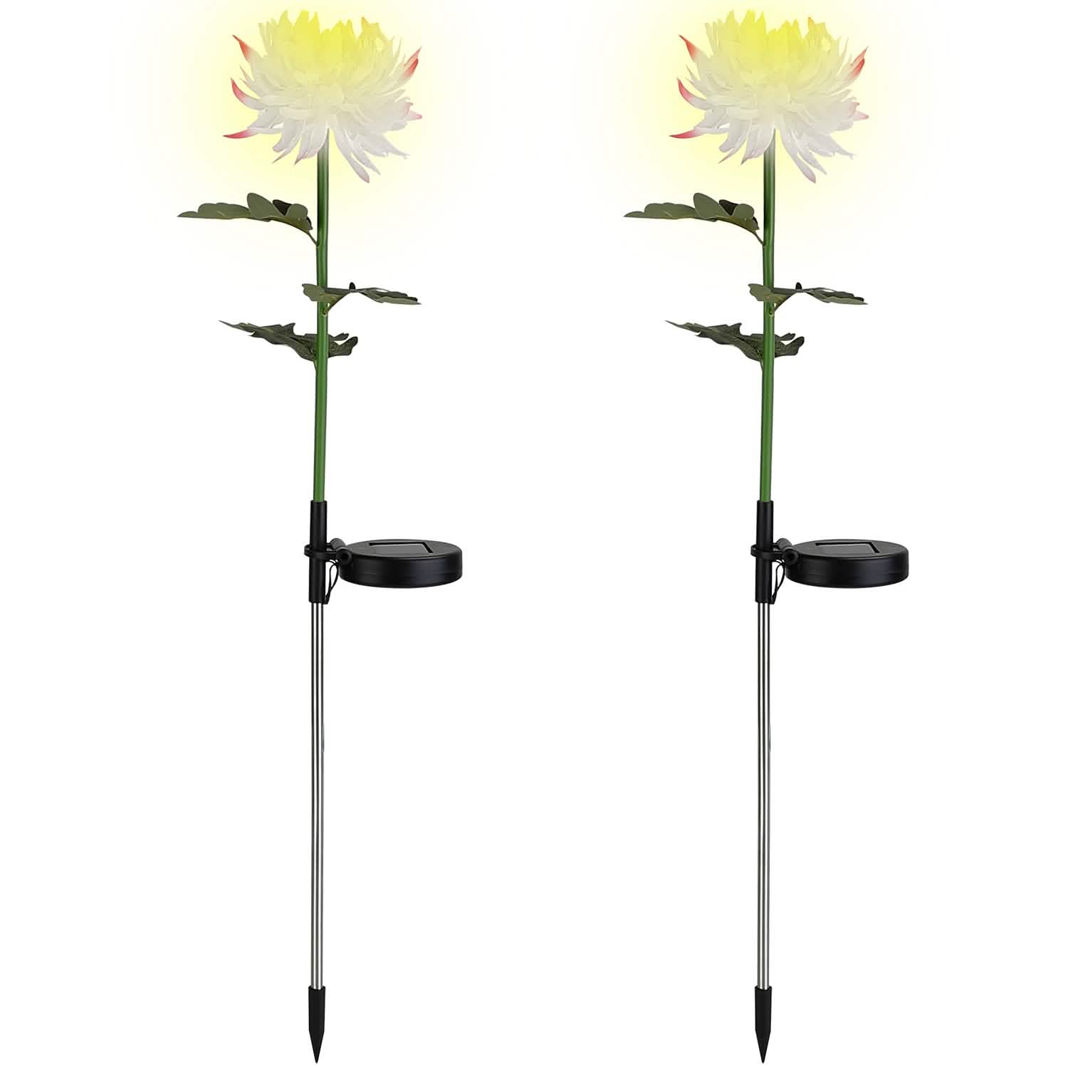 2-Pack: Solar LED Chrysanthemum Lights DailySale