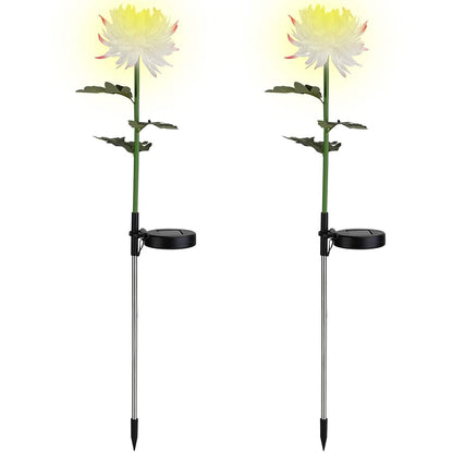 2-Pack: Solar LED Chrysanthemum Lights DailySale