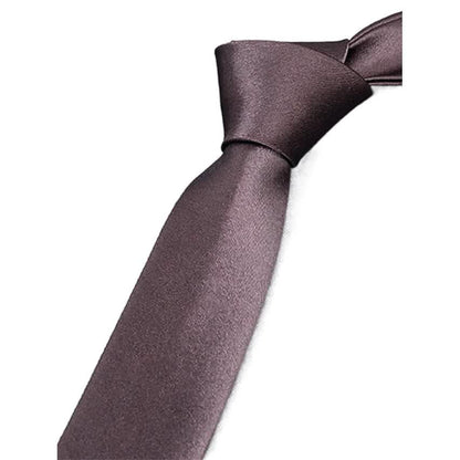 2-Pack: Solid Colored Pure Color Neck Ties DailySale