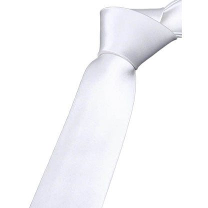 2-Pack: Solid Colored Pure Color Neck Ties DailySale