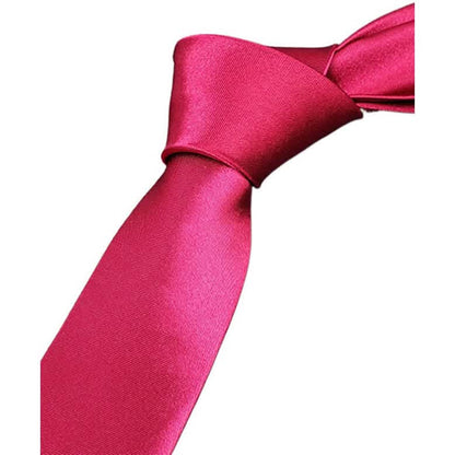 2-Pack: Solid Colored Pure Color Neck Ties DailySale