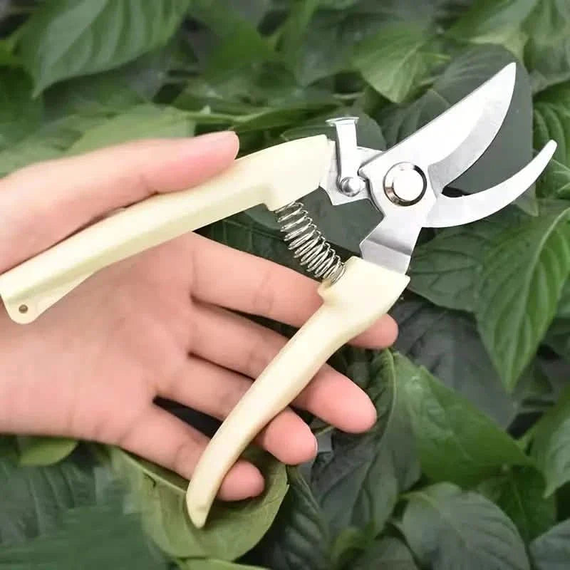 2-Pack: Stainless Steel Bypass Pruning Shears DailySale