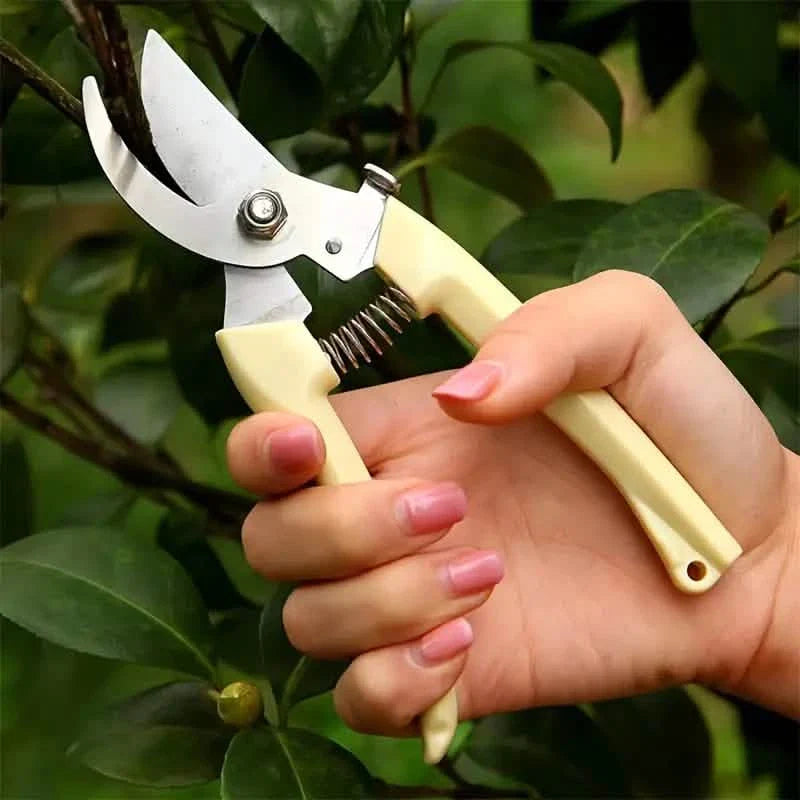 2-Pack: Stainless Steel Bypass Pruning Shears DailySale