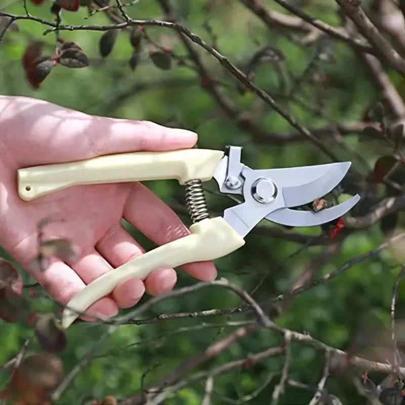 2-Pack: Stainless Steel Bypass Pruning Shears DailySale