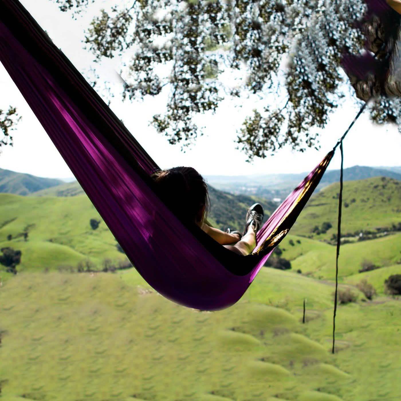 2-Person Multi-Season and Multi-Purpose Nylon Hammock DailySale