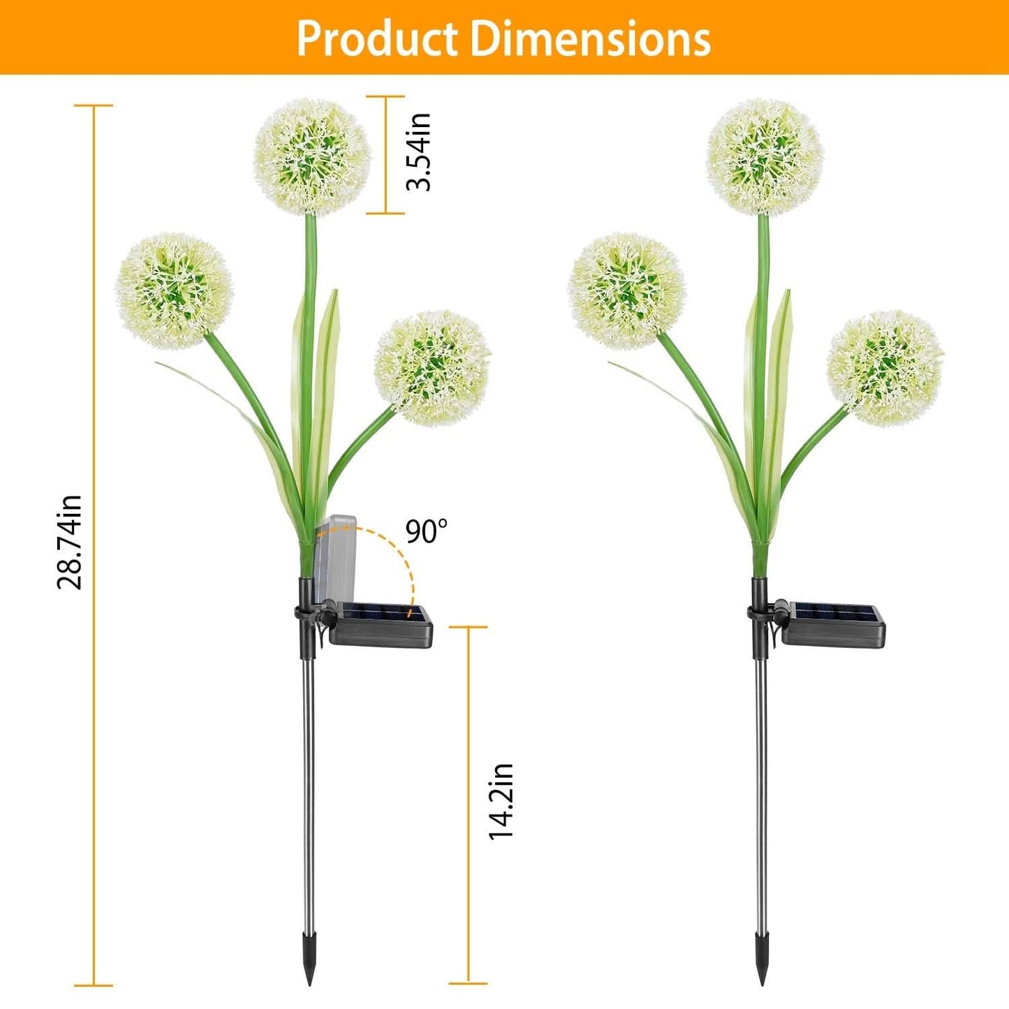 2-Piece: 36 LED Dandelion Solar Lights DailySale