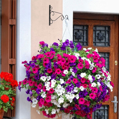 2-Piece: Iron Plant Hanging Bracket Plant Hanger Wall Hooks DailySale