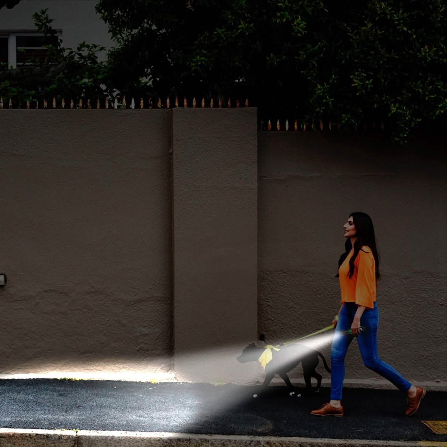 2-Piece: LED Handheld Flashlight Zoomable USB Rechargable DailySale