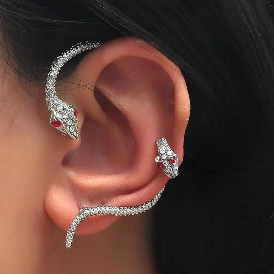 2-Piece: Snake Design Earrings DailySale