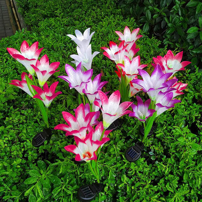 2-Pieces: Solar Garden Lights Outdoor DailySale