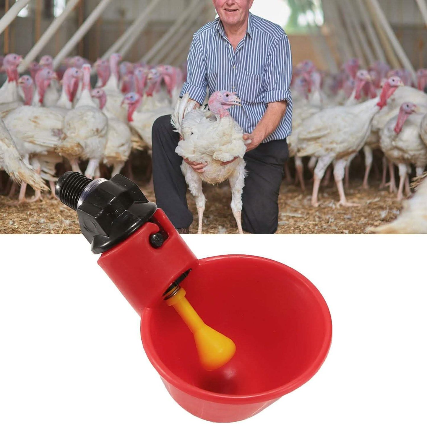 20-Pack: Chicken Waterer Automatic Drinker DailySale