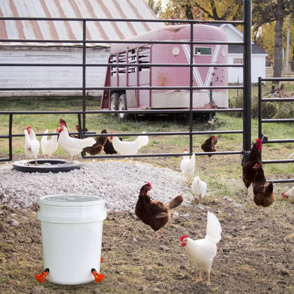 20-Pack: Chicken Waterer Automatic Drinker DailySale
