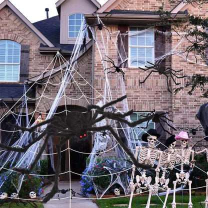 200" Halloween Spider Web and 59" Giant Spider Decoration DailySale