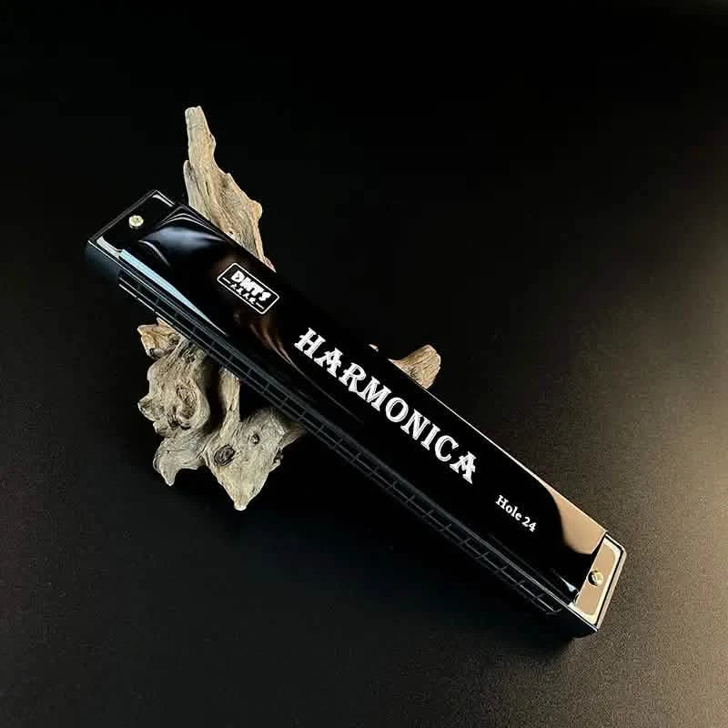 24 Hole Harmonica Mouth Metal Organ DailySale