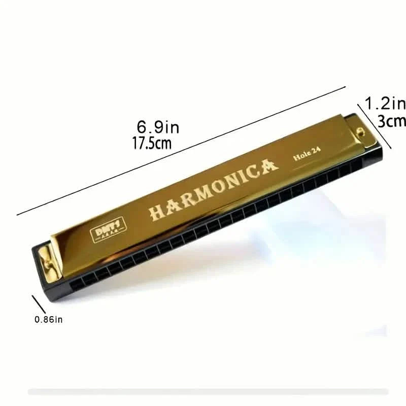 24 Hole Harmonica Mouth Metal Organ DailySale