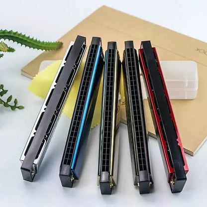 24 Hole Harmonica Mouth Metal Organ DailySale