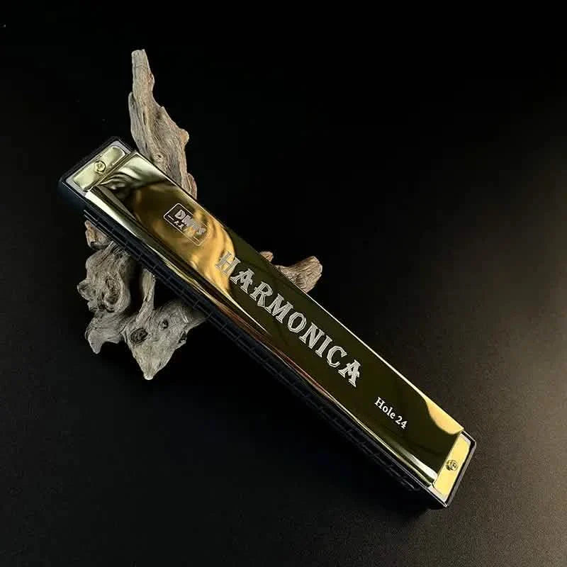 24 Hole Harmonica Mouth Metal Organ DailySale