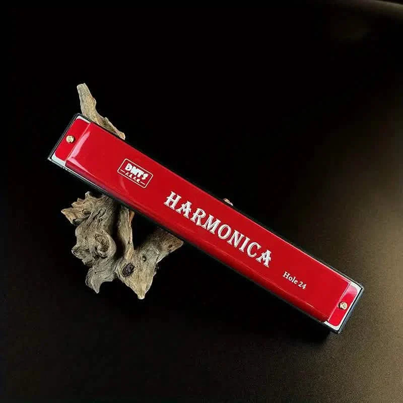 24 Hole Harmonica Mouth Metal Organ DailySale